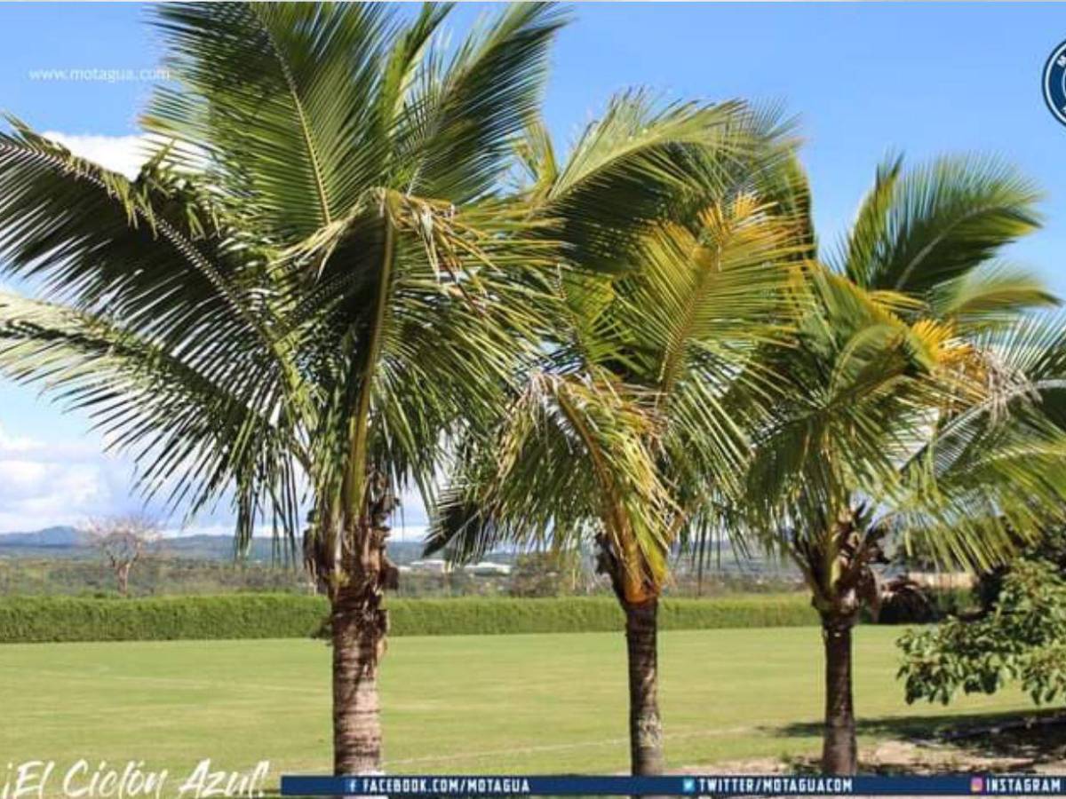 ¿Qué clubes de Centroamérica tienen mejores instalaciones?