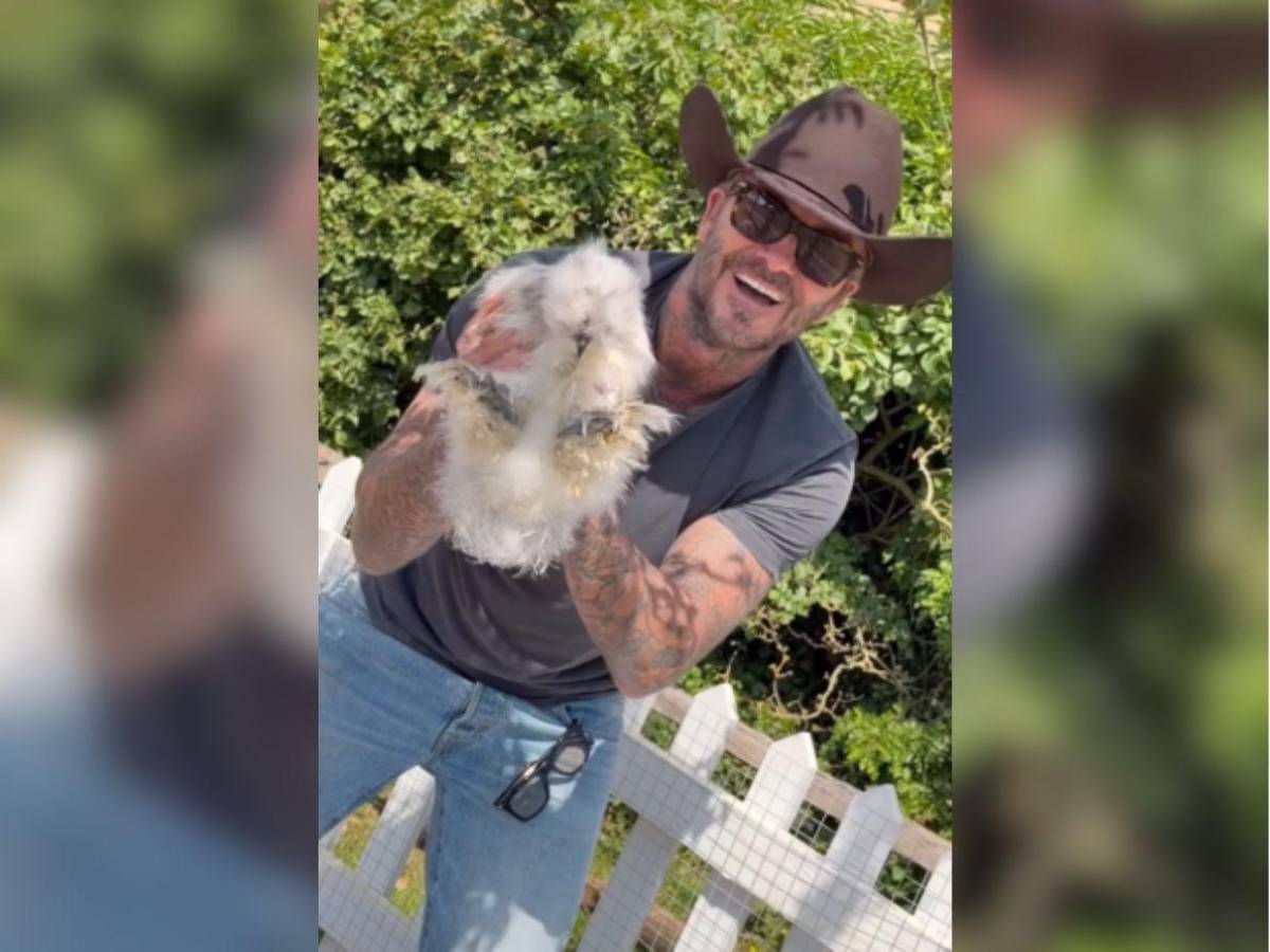 El insólito regalo de cumpleaños que David Beckham recibió de su esposa