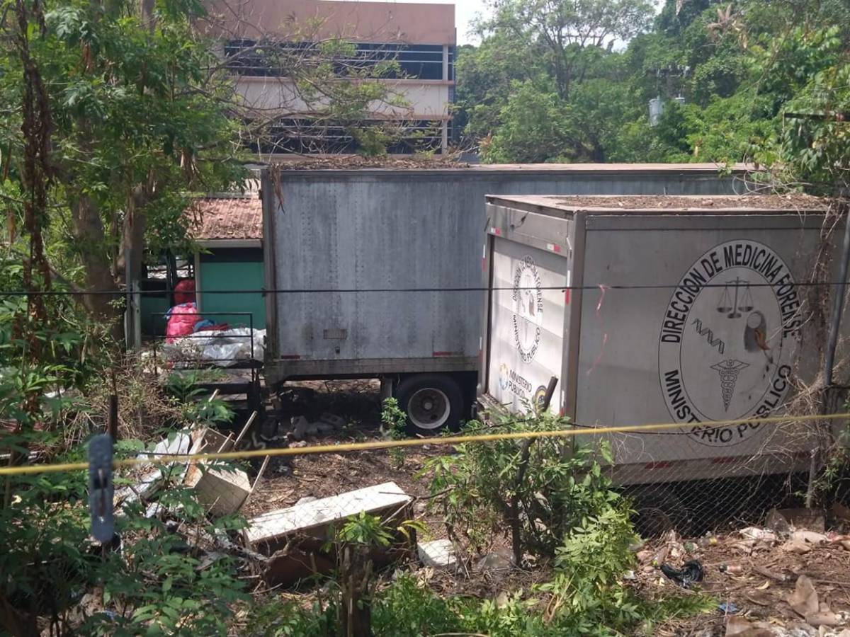 Olores fétidos y aves de rapiña: vecinos denuncian insalubridad en contenedores de morgue capitalina