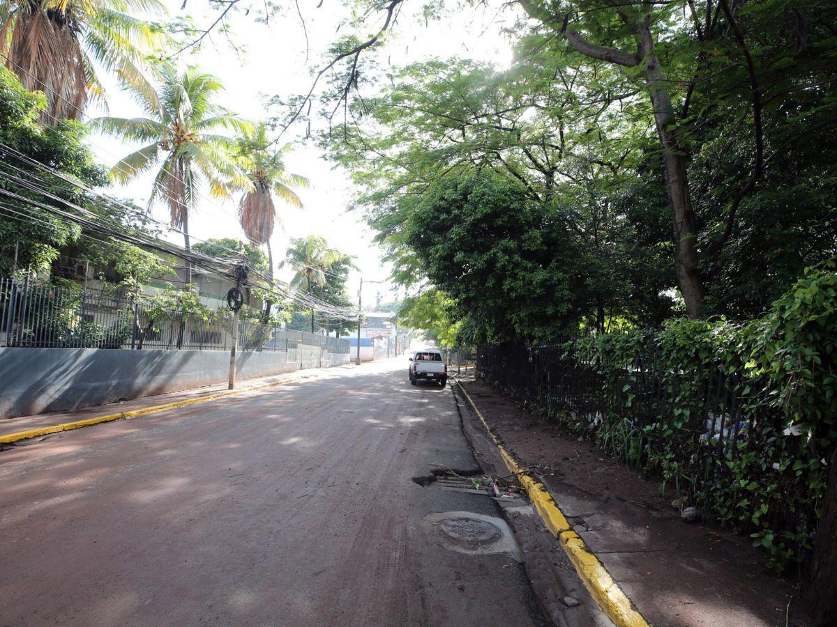 Múltiples incidencias y familias damnificadas reportó la capital por lluvias