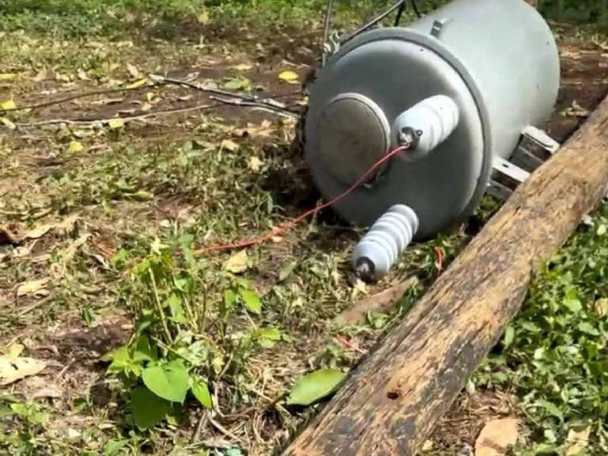 Daniel Calero, alumno que murió tras caerle poste cuando realizaba práctica de colegio