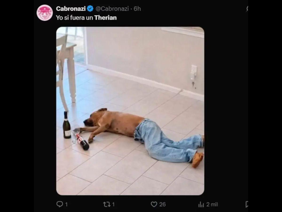 Los mejores memes que está dejando la nueva tendencia de therians en redes