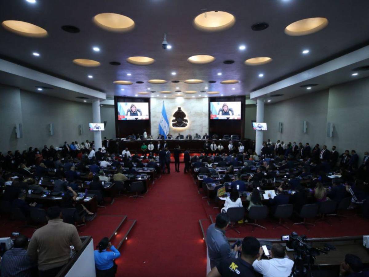 ¿Quiénes son los diputados de la comisión que investigará la renuncia de Ana Paola Hall?