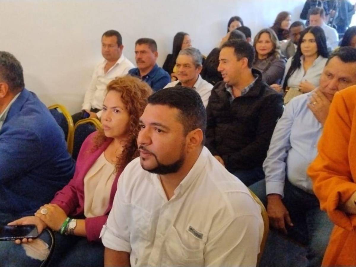 Diputados asisten a autoconvocatoria para conocer informe de la Comisión Especial del Congreso Nacional