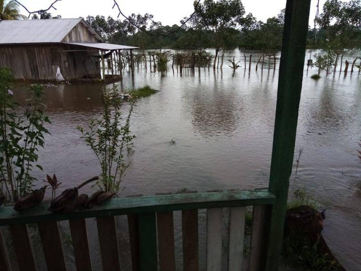 Claman por ayuda humanitaria en Puerto Lempira tras el paso de la tormenta Julia