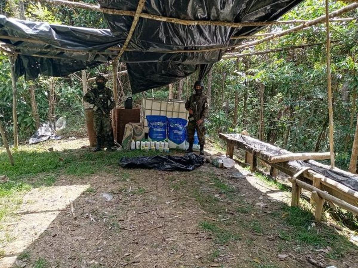 $!Para estas operaciones se mandan muestras de las plantas de supuesto arbusto de coca o marihuana a Medicina Forense.