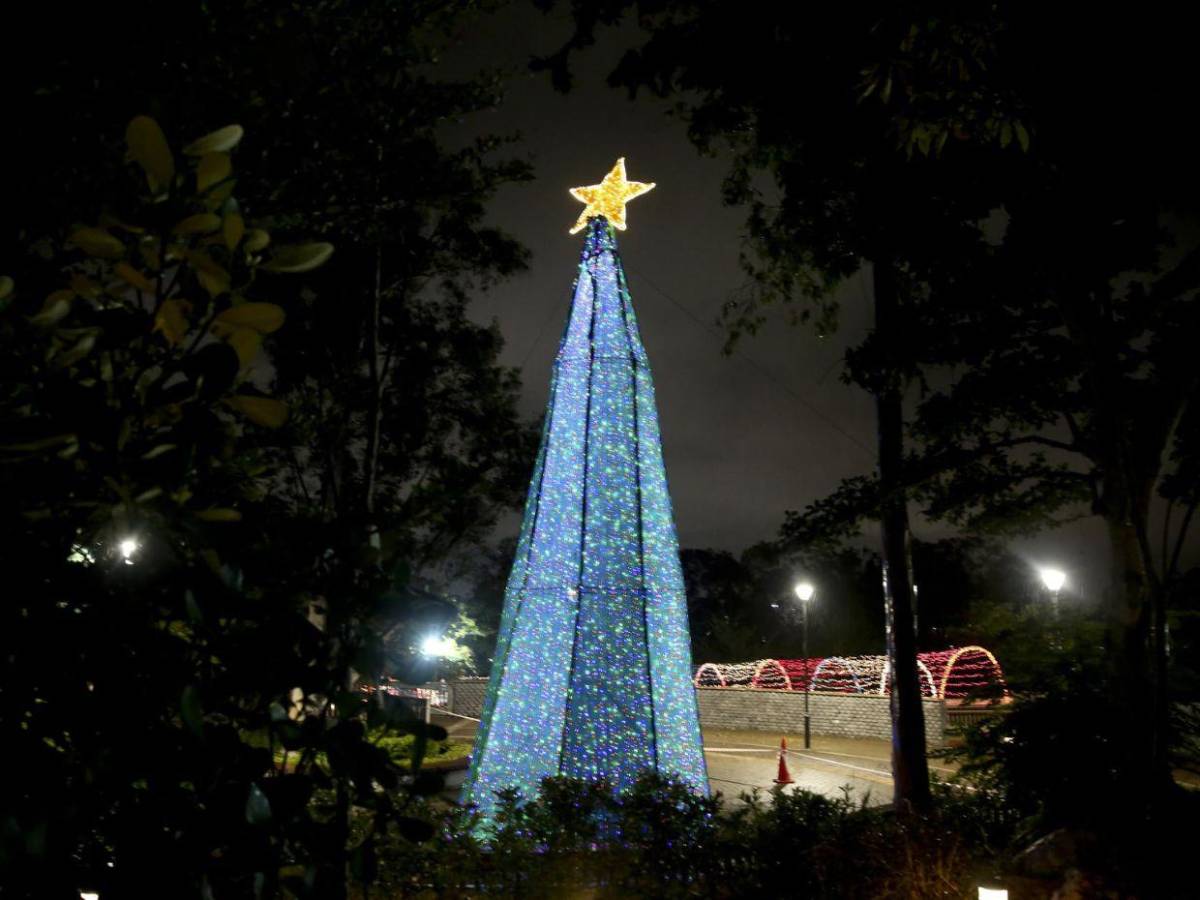 Horarios y lugares que puedes visitar con tu familia en esta Navidad y Año Nuevo Horarios y lugares que puedes visitar con tu familia en esta Navidad y Año Nuevo