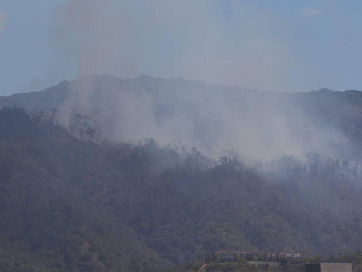 Voraz incendio en El Hatillo y zonas aledañas amenaza el pulmón de la capital