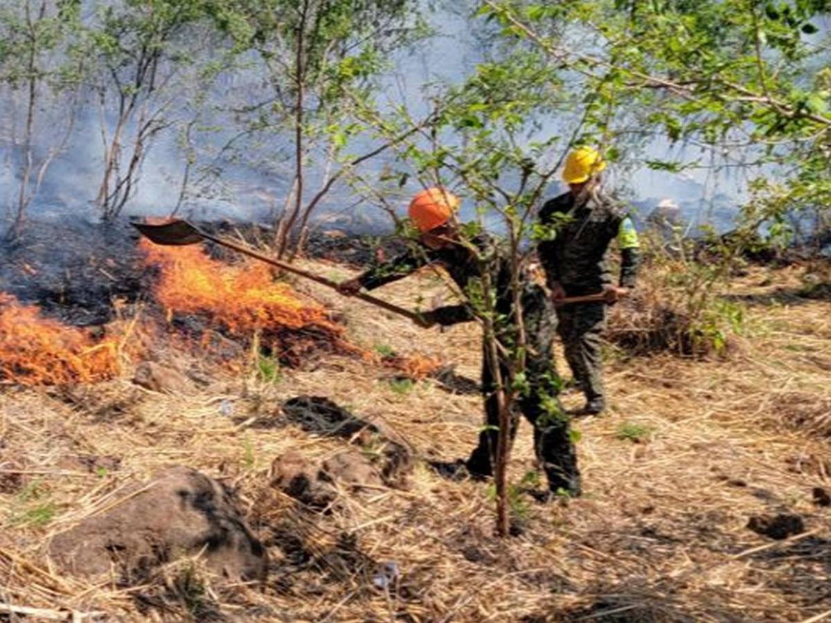 Solo durante el fin de semana se registraron 15 incendios forestales en Honduras