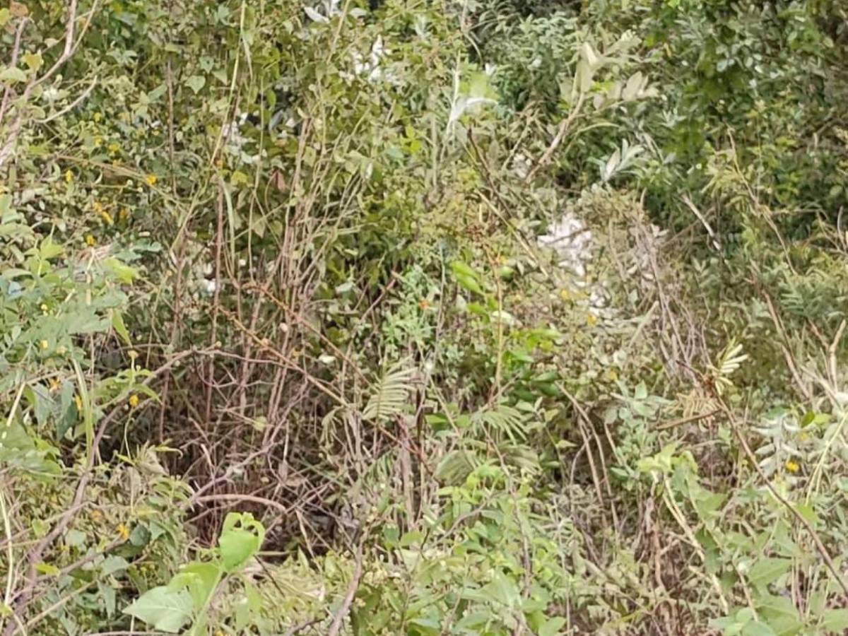 ¿Influenciados por el alcohol? ¿Qué provocó el accidente en Victoria, Yoro?