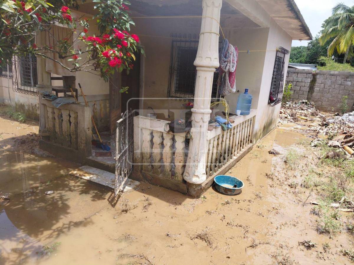 Casas llenas de lodo: ciudadanos en Santa Cruz de Yojoa hacen limpieza tras inundaciones