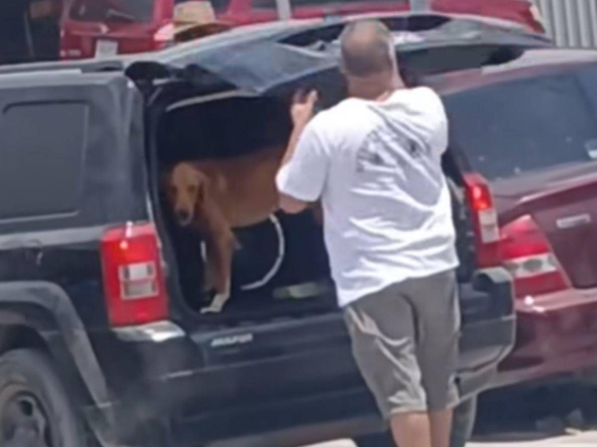 Pido disculpas: hombre explica que pasó con el perro que iba arrastrando en Choloma