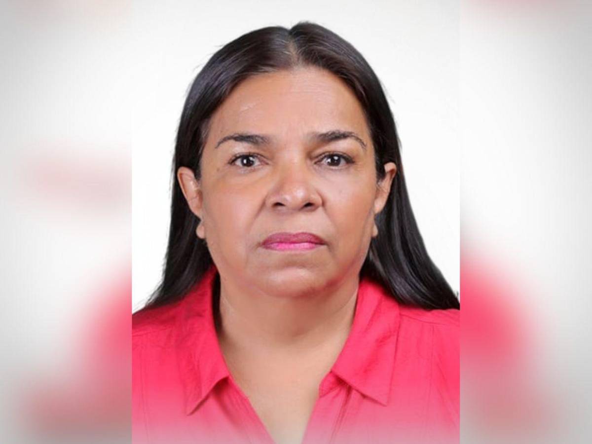 Los rostros de los precandidatos a diputados del movimiento “MEL” por Francisco Morazán