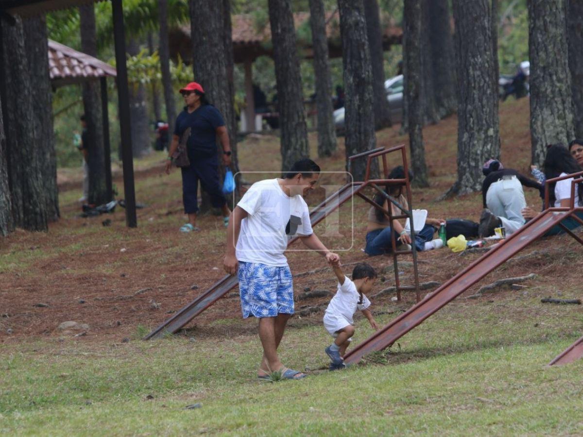Reapertura a lo grande: actividades y diversión familiar en el Parque Obrero