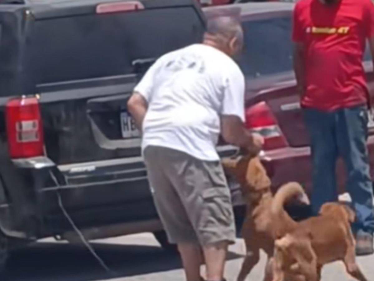 Pido disculpas: hombre explica que pasó con el perro que iba arrastrando en Choloma