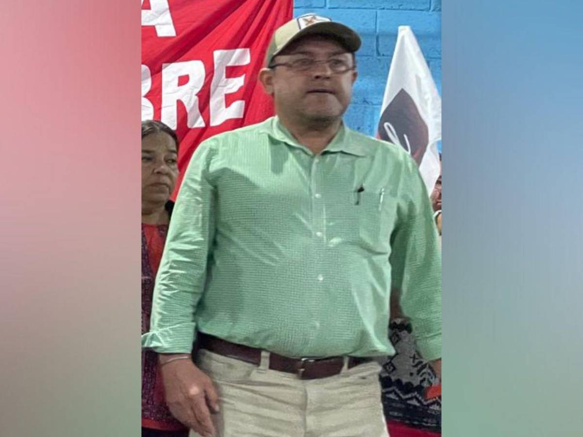 Los rostros de los precandidatos a diputados del movimiento “MEL” por Francisco Morazán