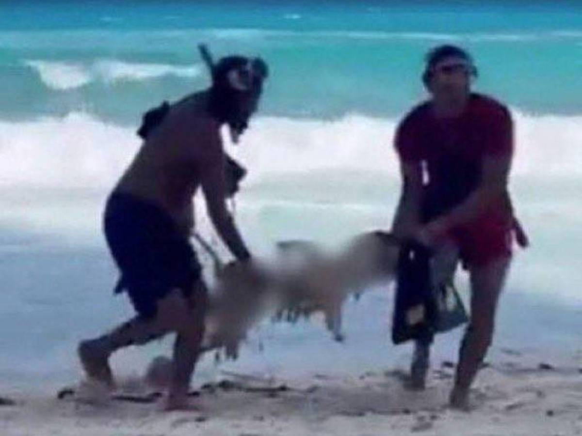 Amiga del joven devorado en Cancún tras su muerte: Te amo por siempre