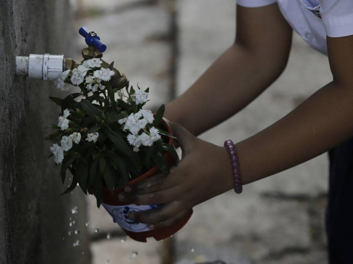 Plantas, reciclaje y un fiel compromiso: Así finaliza la Semana 7 de EAA