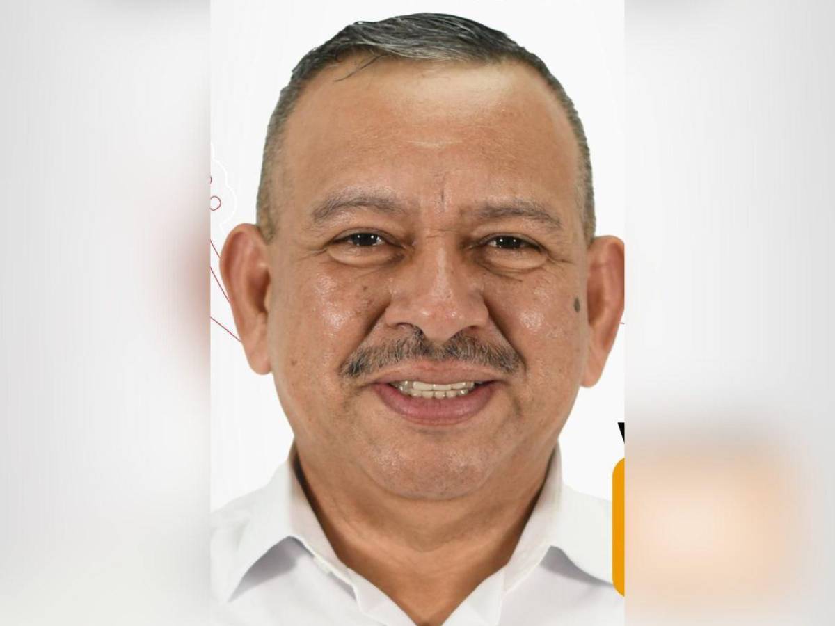 Ellos son los precandidatos a diputados por Francisco Morazán de “Somos +” en Libre