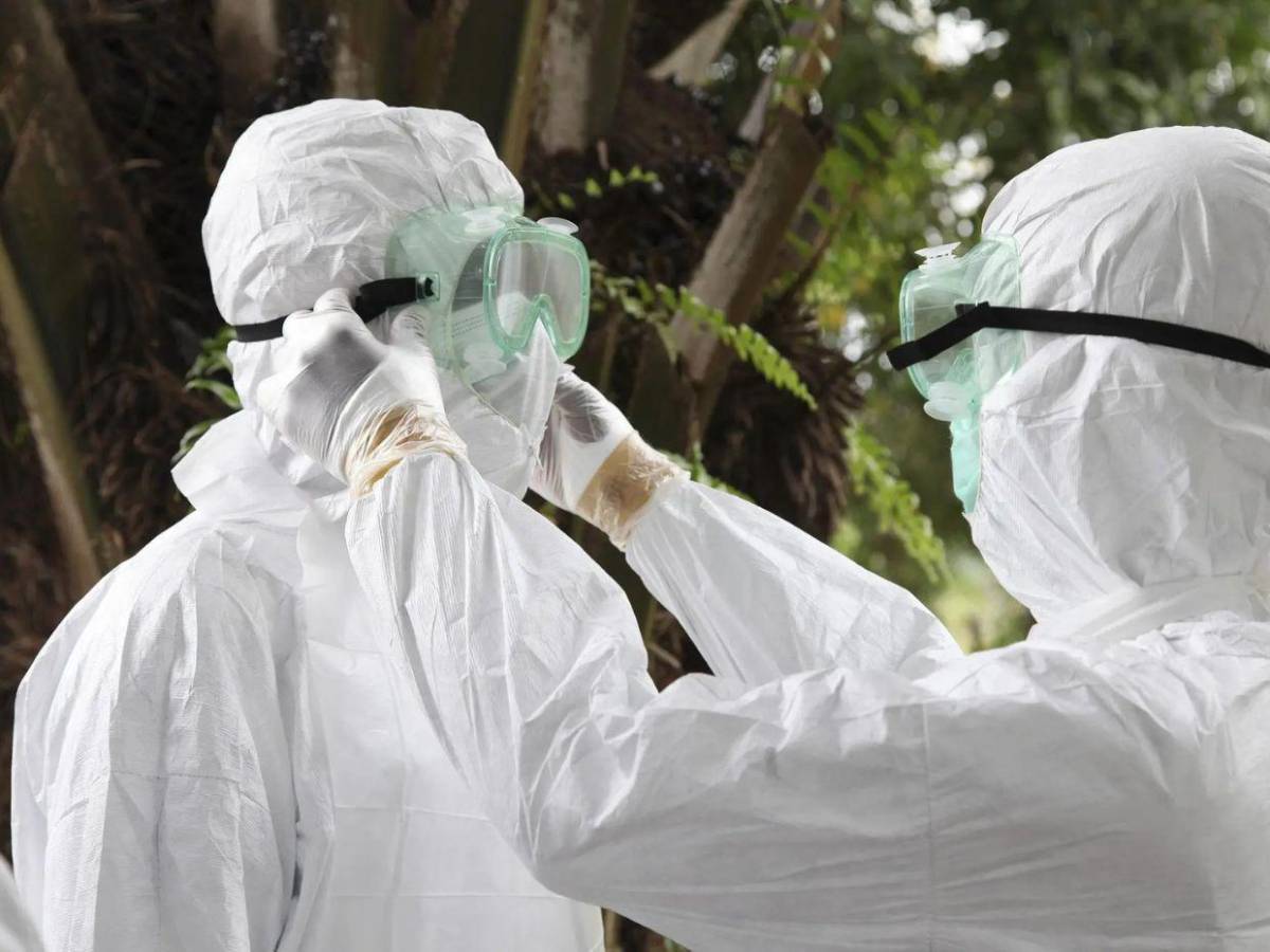 Alerta internacional: la OMS teme que brote de ébola en el Congo se propague