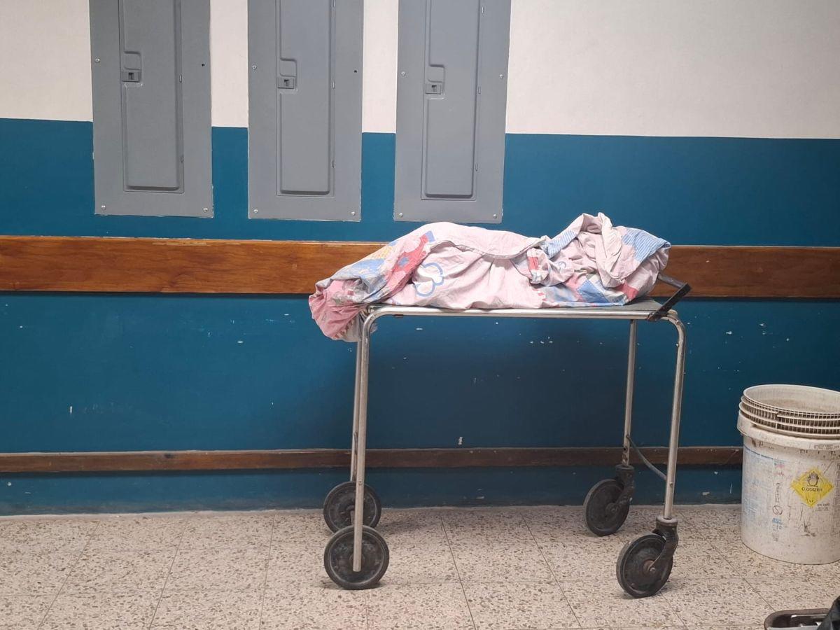 Un perro atacó a niña de cuatro años y la mató de una mordida en el cuello en El Pedernal