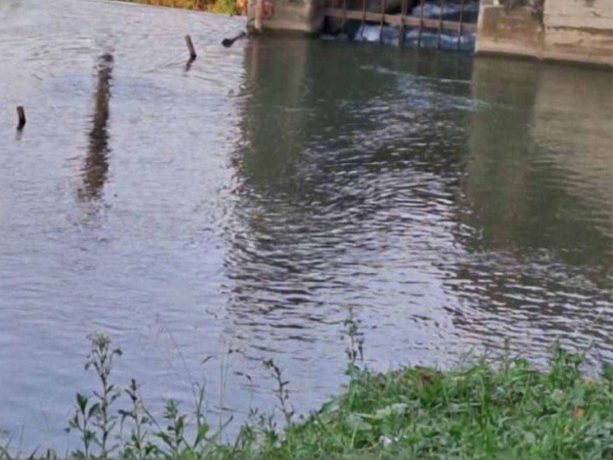 Se metió a una zona prohibida: Arnold Serrano, primer ahogado en Semana Morazánica