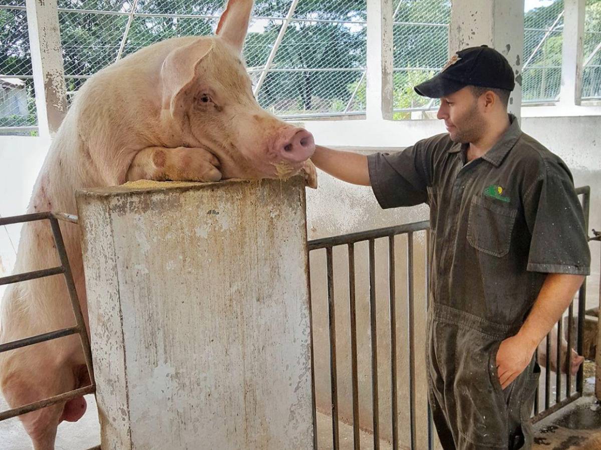 Entre cámaras y naturaleza: así era Fernando Durón, el ingeniero asesinado en la Kennedy