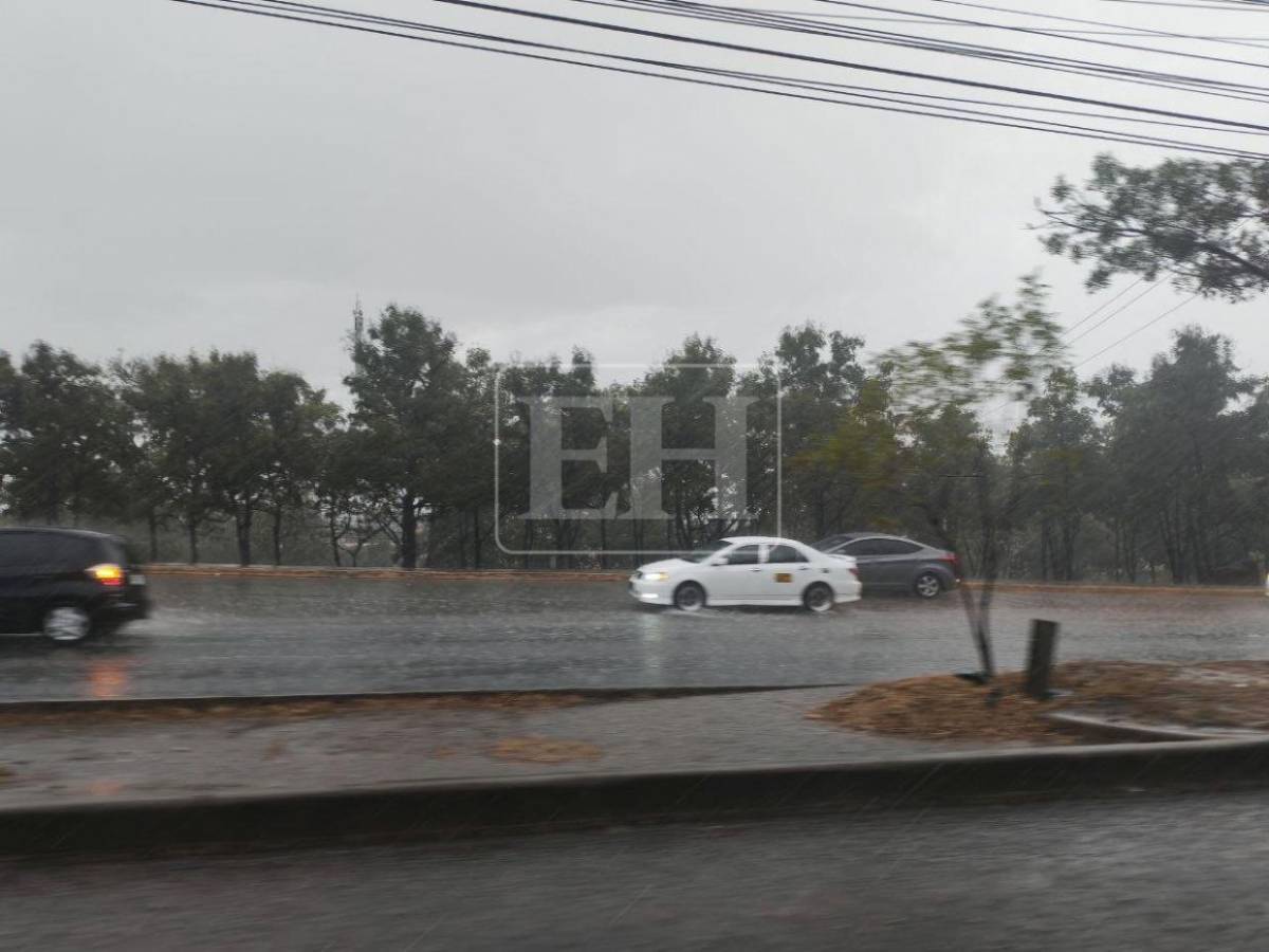 Tormentas eléctricas por onda tropical: zonas que deben tomar medidas por fuertes lluvias este domingo