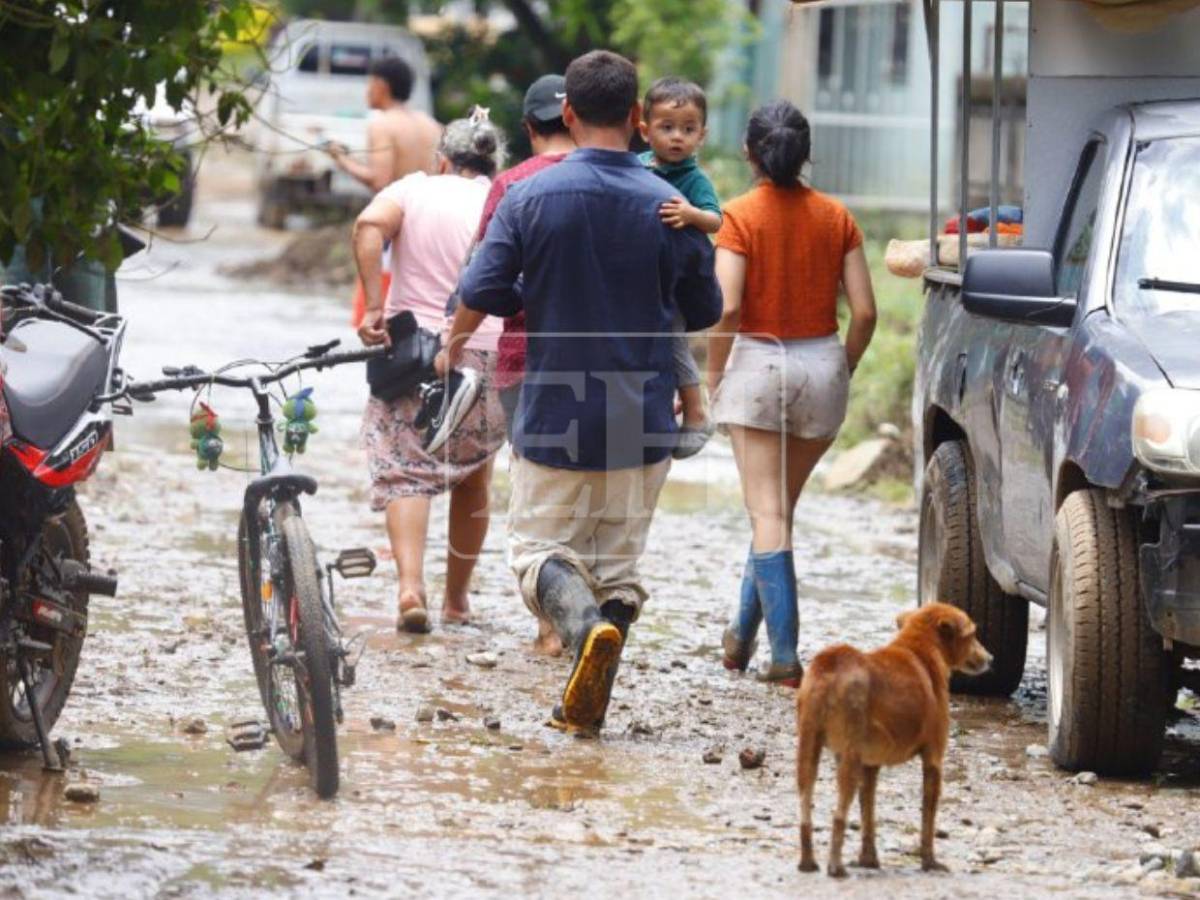 Casas llenas de lodo: ciudadanos en Santa Cruz de Yojoa hacen limpieza tras inundaciones
