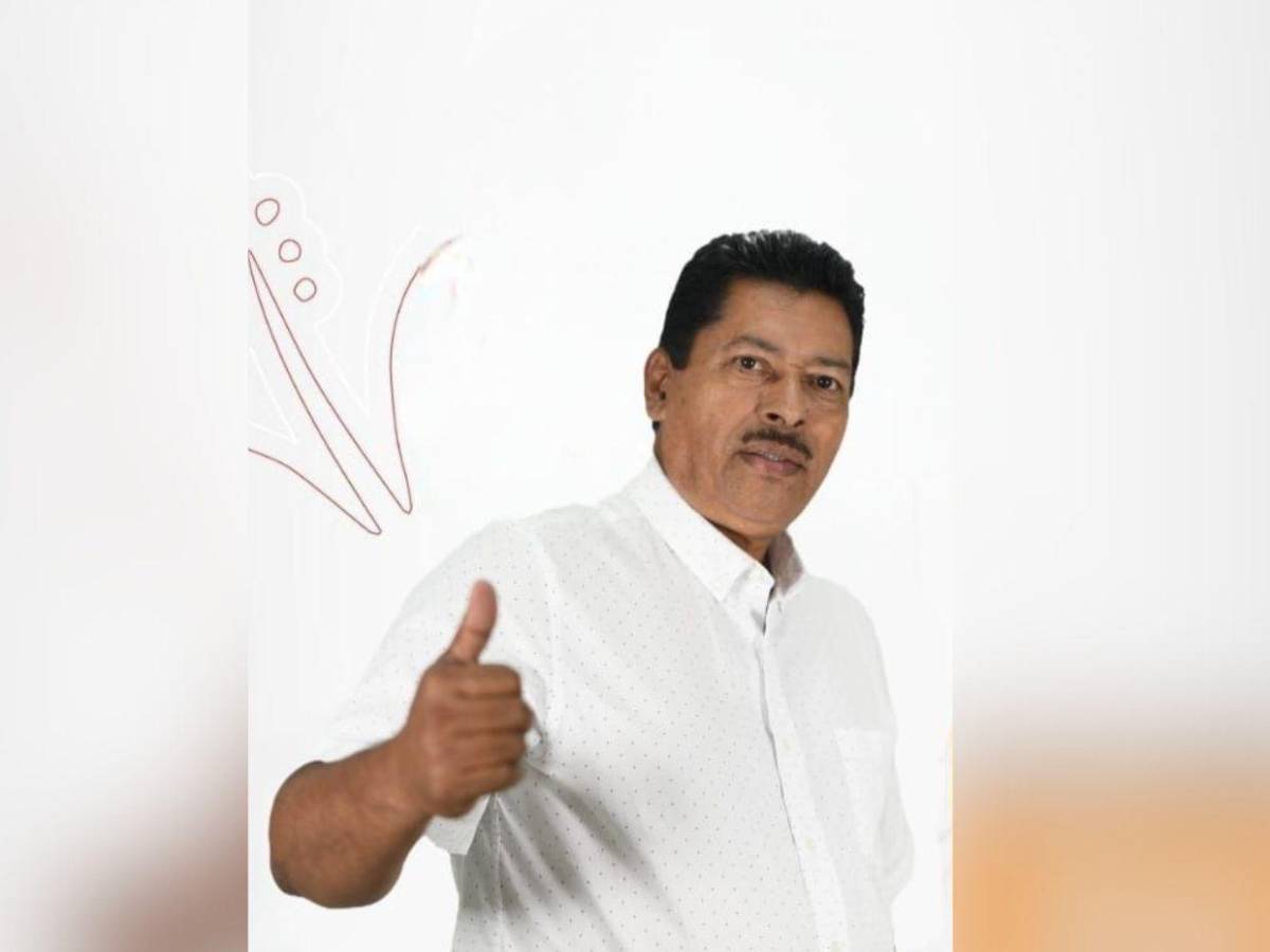 Ellos son los precandidatos a diputados por Francisco Morazán de “Somos +” en Libre