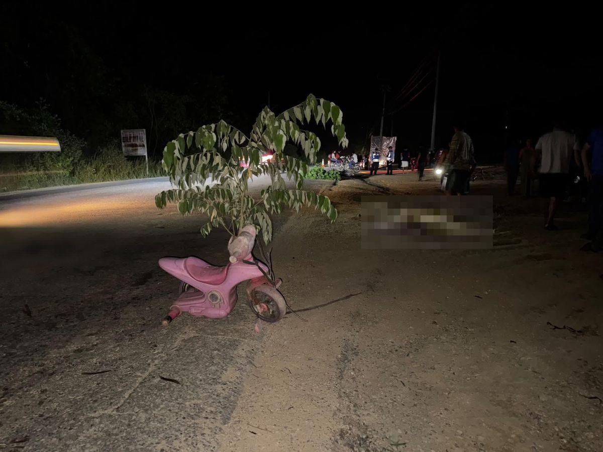La pequeña Sofía fue atropellada junto a su madre: vendían elotes y el responsable se dio a la fuga