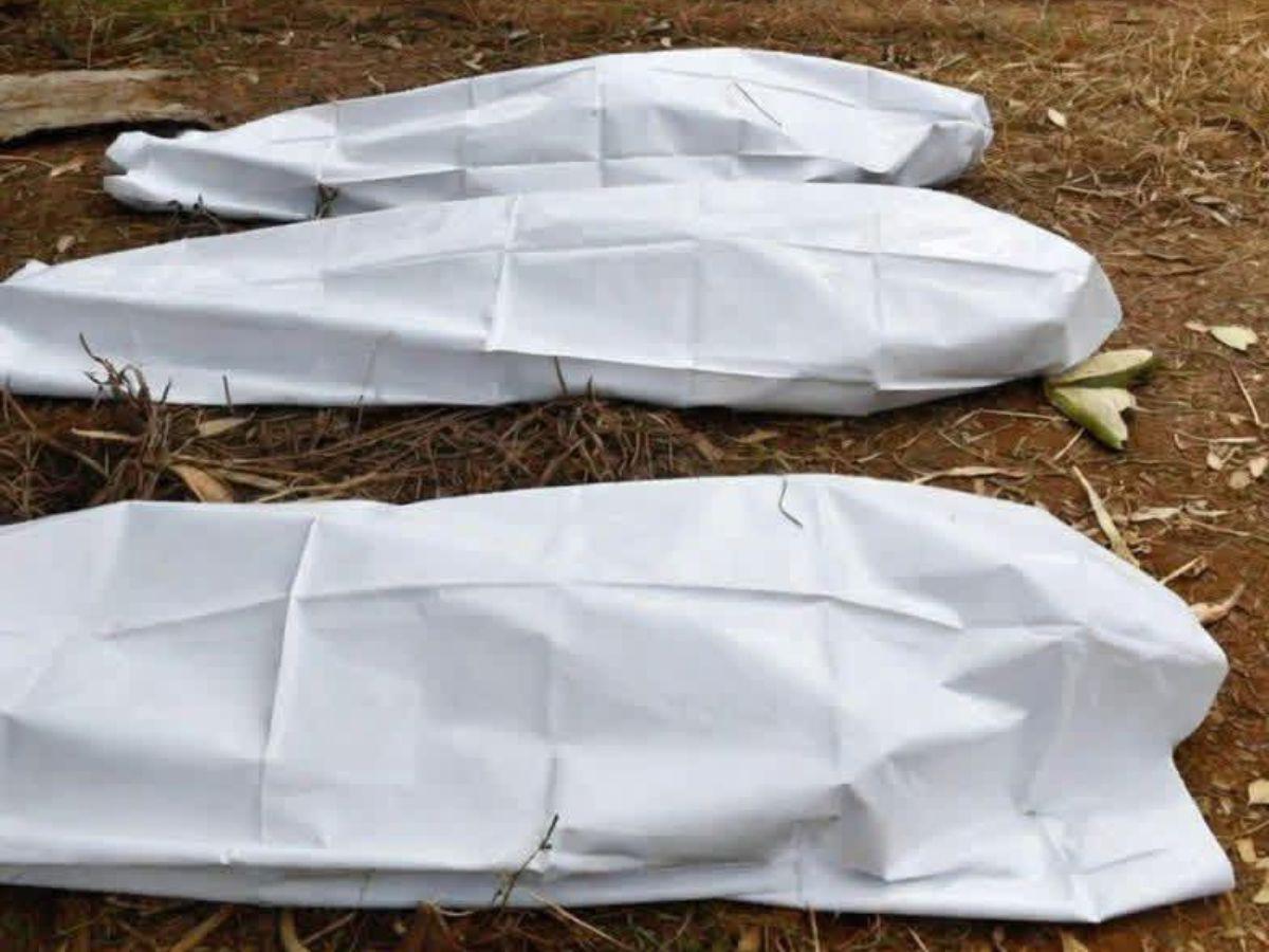 Juan, Daniel y José, hermanos víctimas de masacre en Lempira; tenían antecedentes