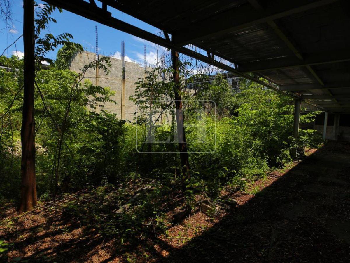 Maleza, techos dañados y módulos inconclusos: el abandono de la cárcel de Naco