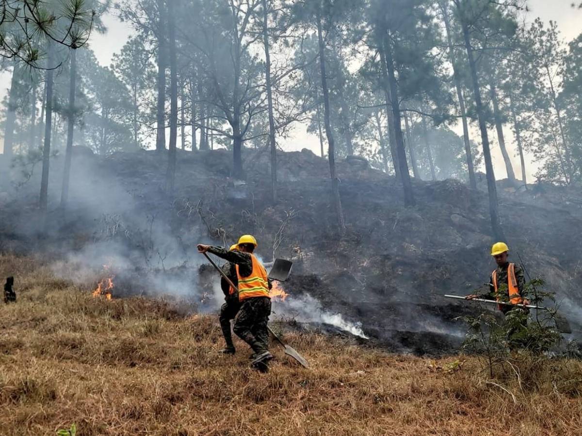 FF AA combaten nueve incendios forestales durante el fin de semana