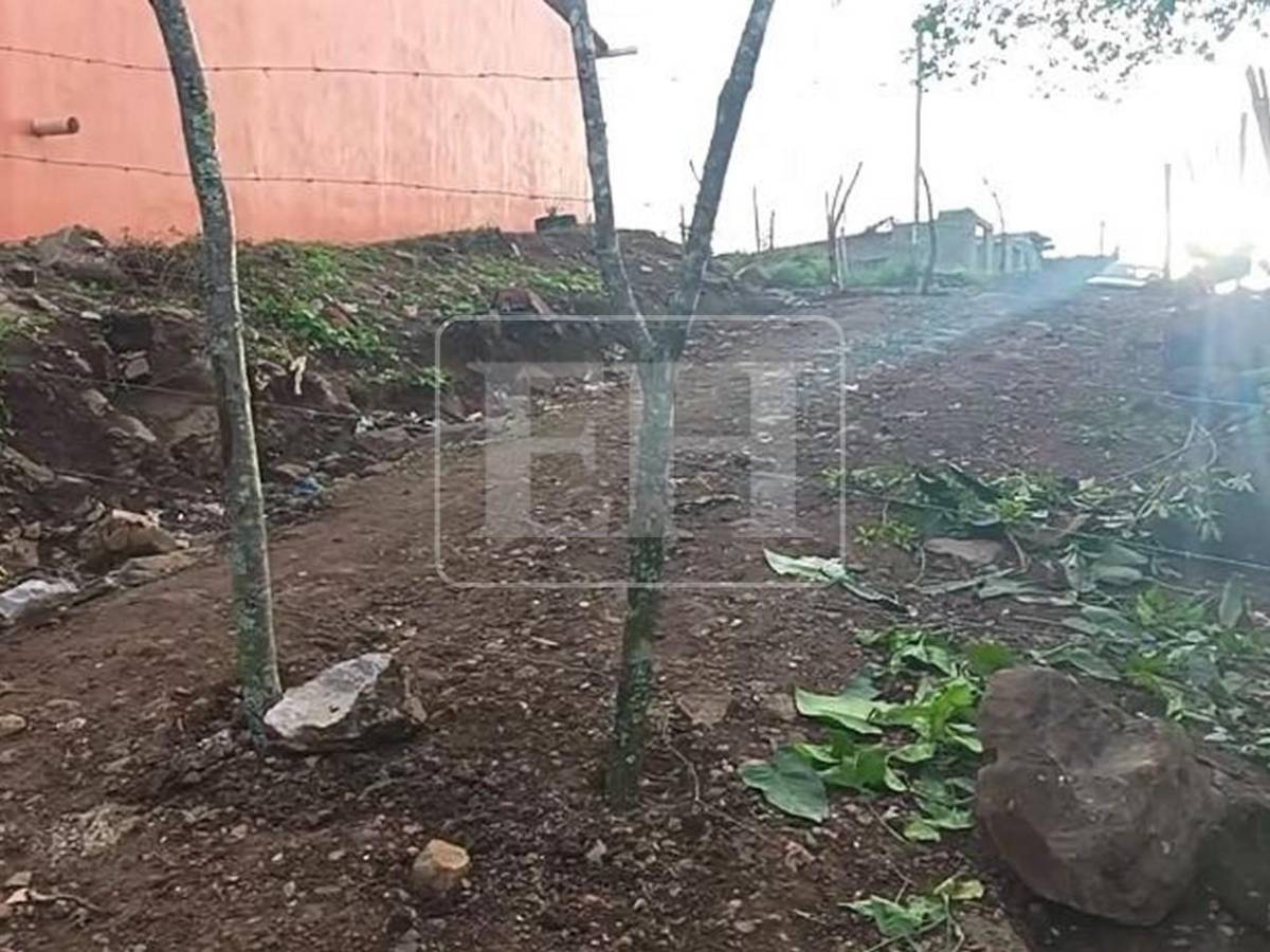 Cerco de púas deja sin paso a vecinos de colonia Monte de los Olivos