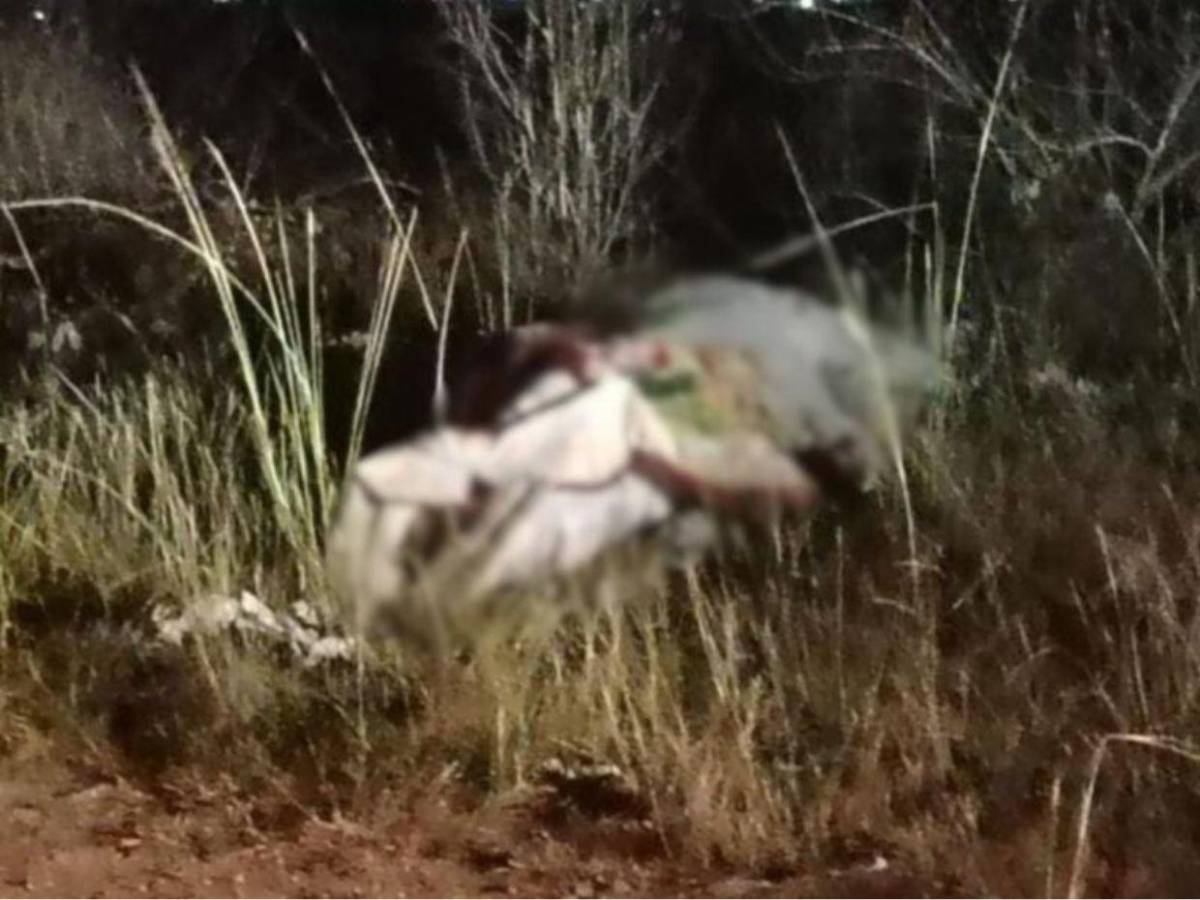 Con signos de tortura y entre bultos de basura: Así hallaron el cuerpo del doctor Miguel Salgado