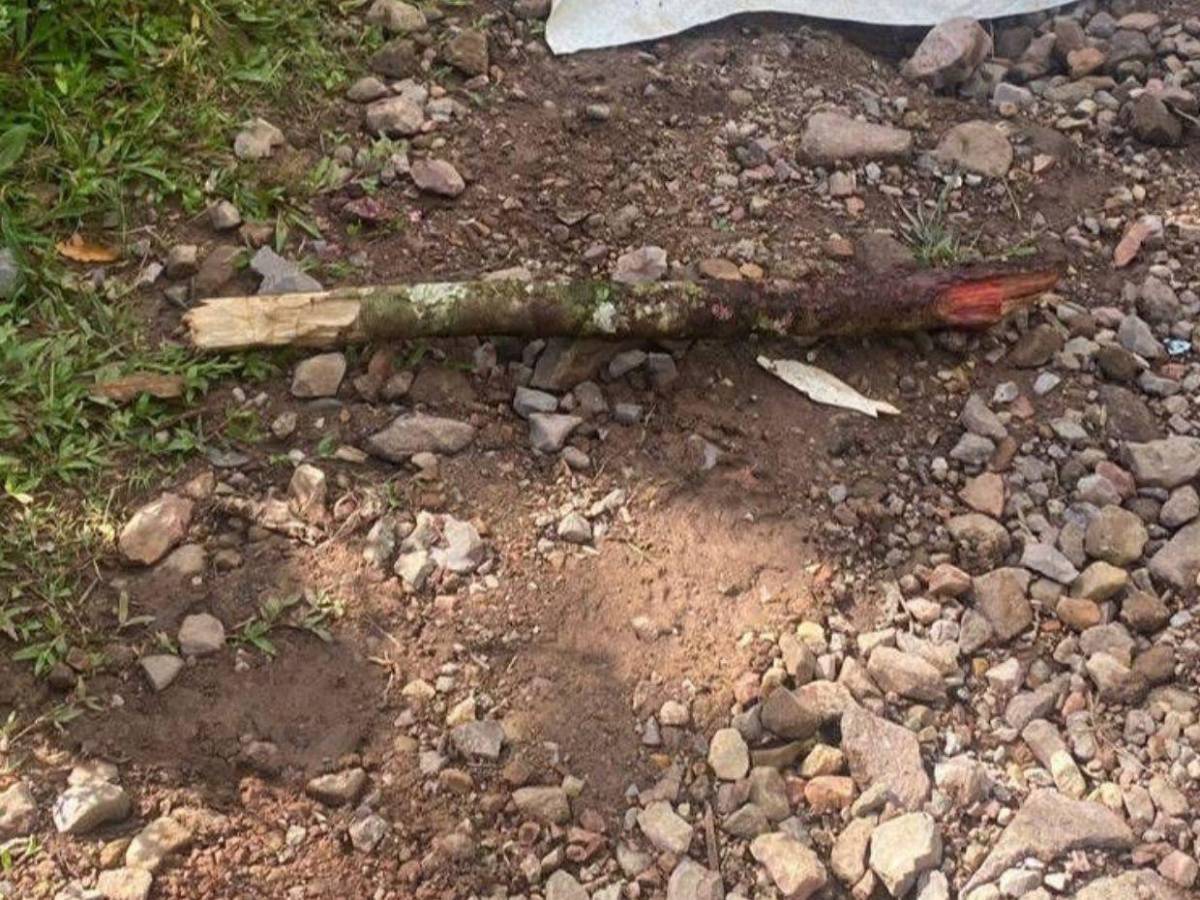 Lo asesinaron a golpes con un garrote: ¿Qué se sabe del crimen de Jacobo Arita en Copán?