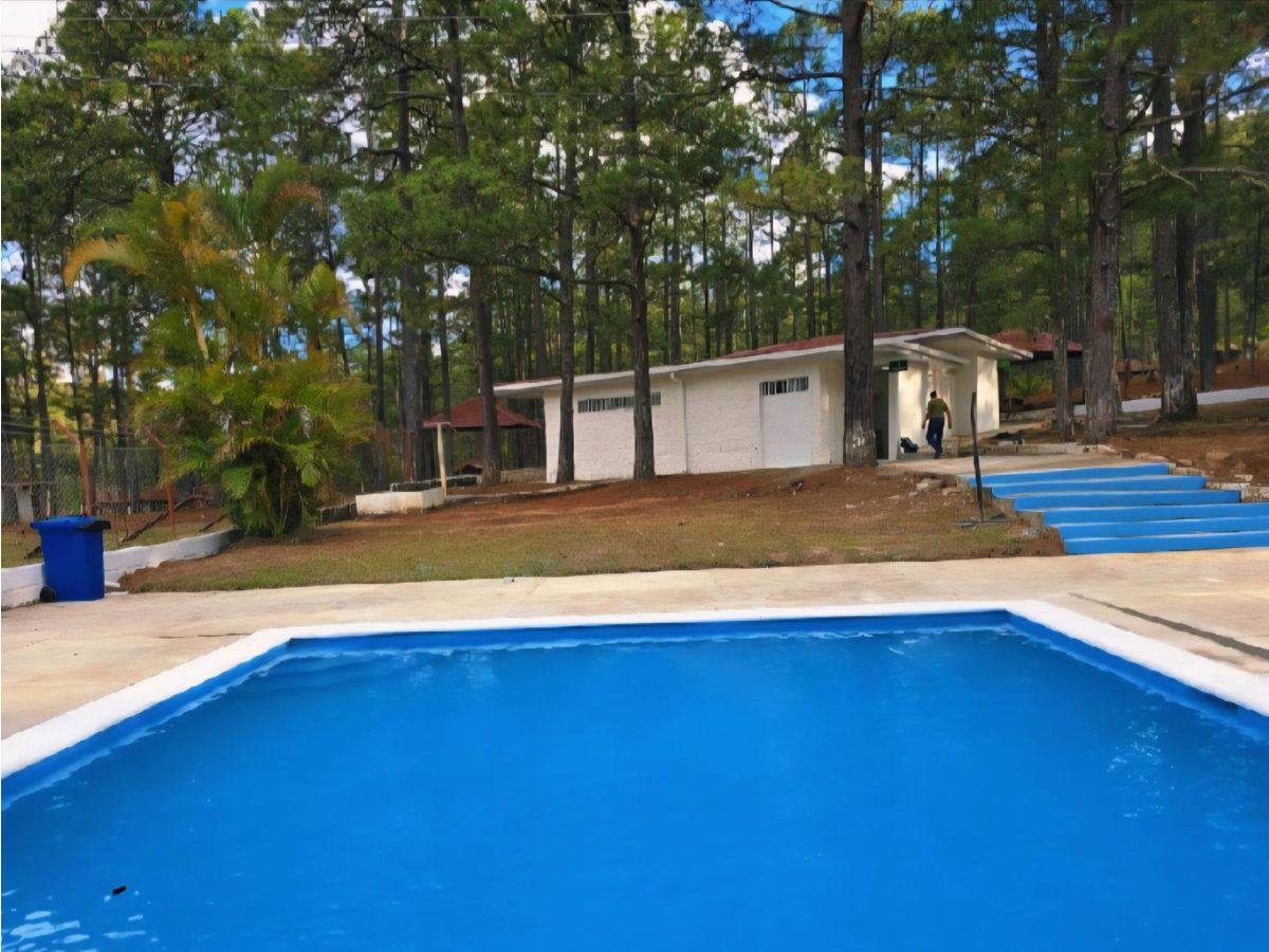 Parque Obrero reabre sus puertas: horarios de atención en Semana Santa