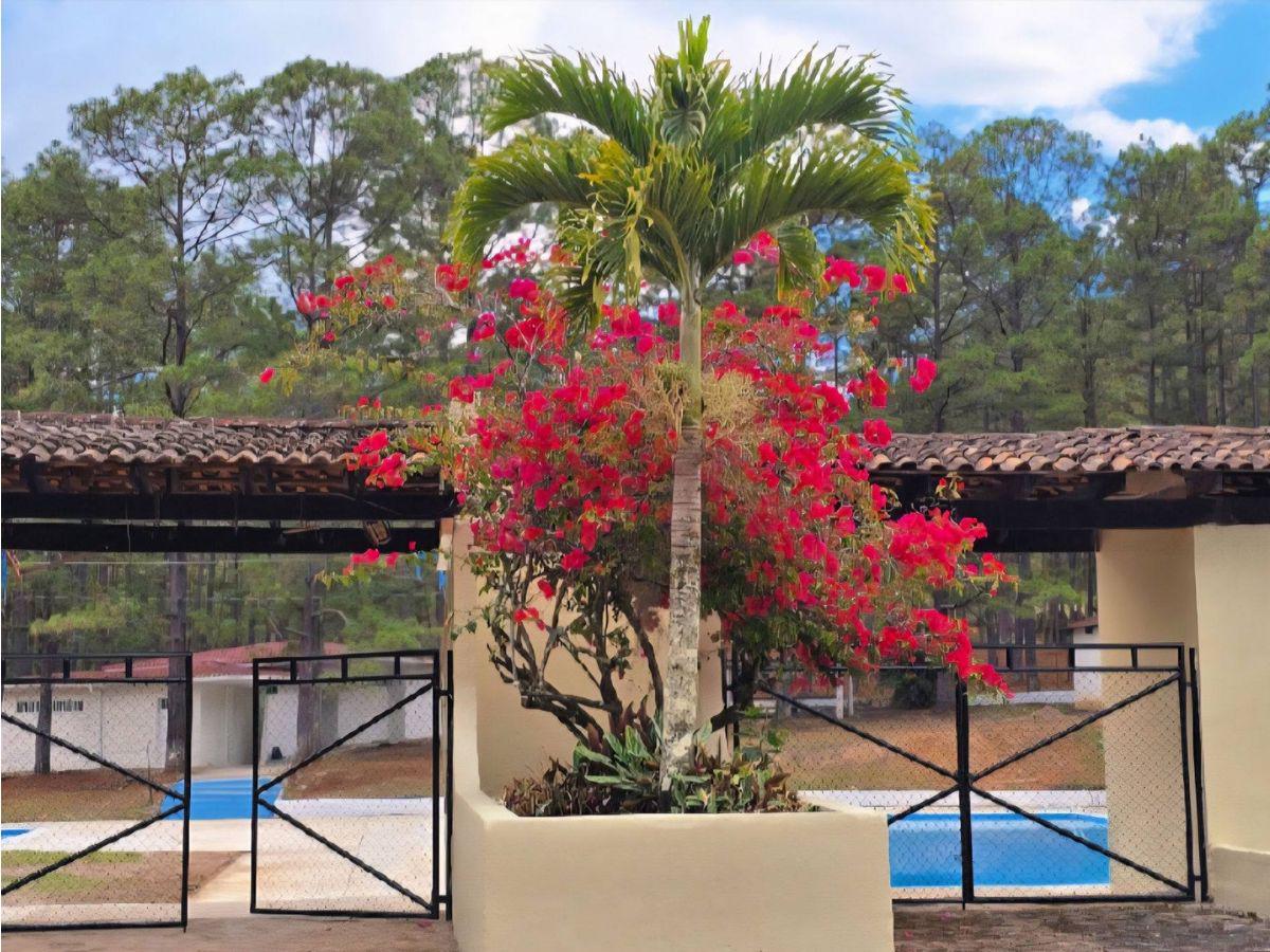 Parque Obrero reabre sus puertas: horarios de atención en Semana Santa