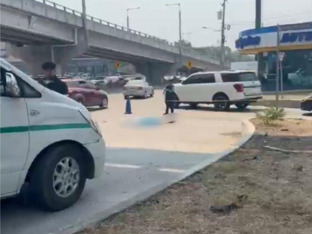 María Isabel Díaz, madre que cayó desde un puente a desnivel en SPS y murió