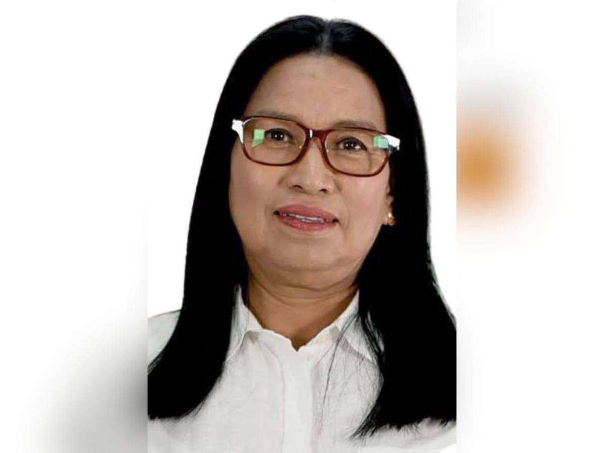 Ellos son los precandidatos a diputados por Francisco Morazán de “Somos +” en Libre