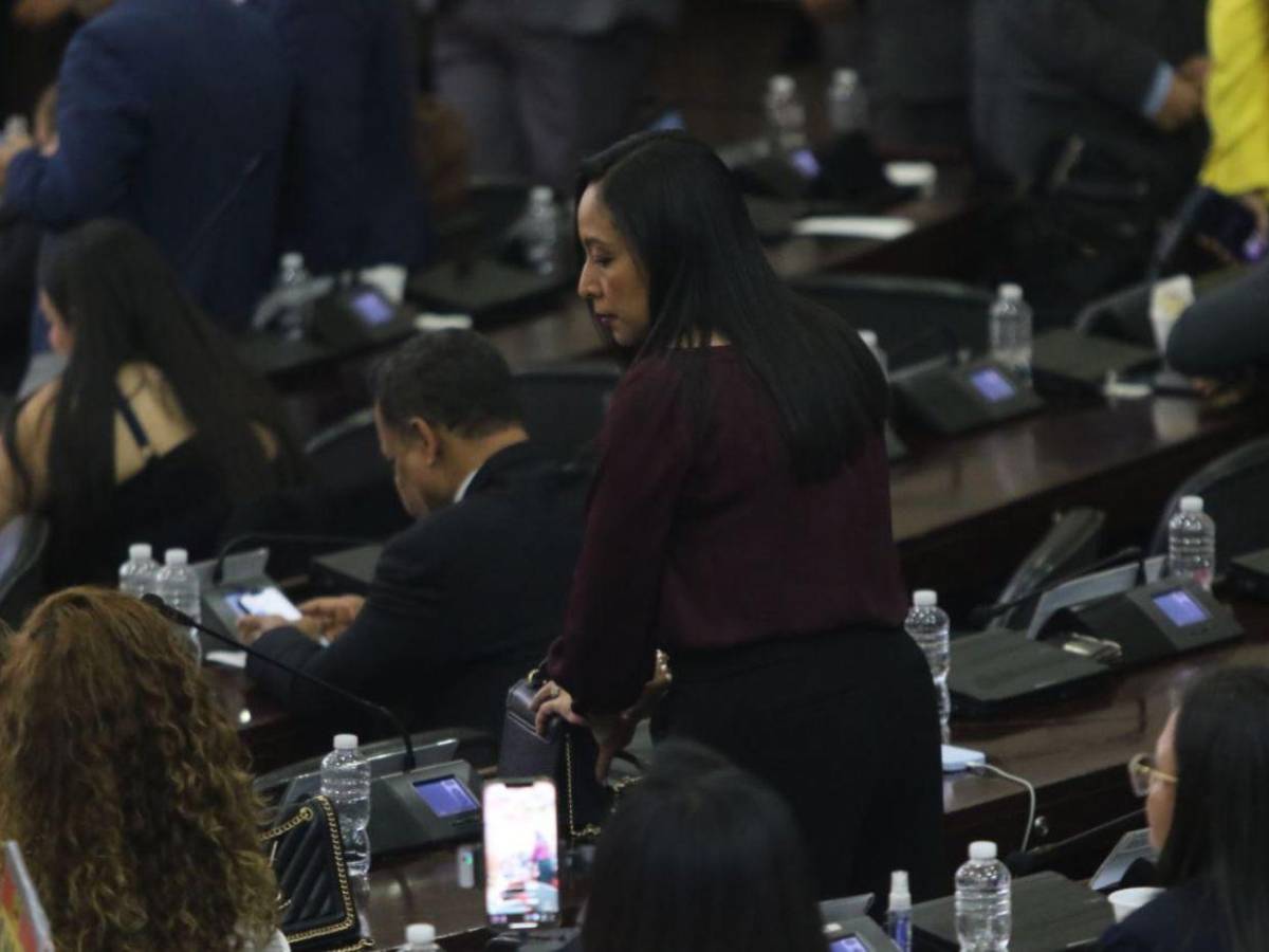 En qué consiste el protocolo facultativo sobre la niñez rechazado por la oposición en el CN