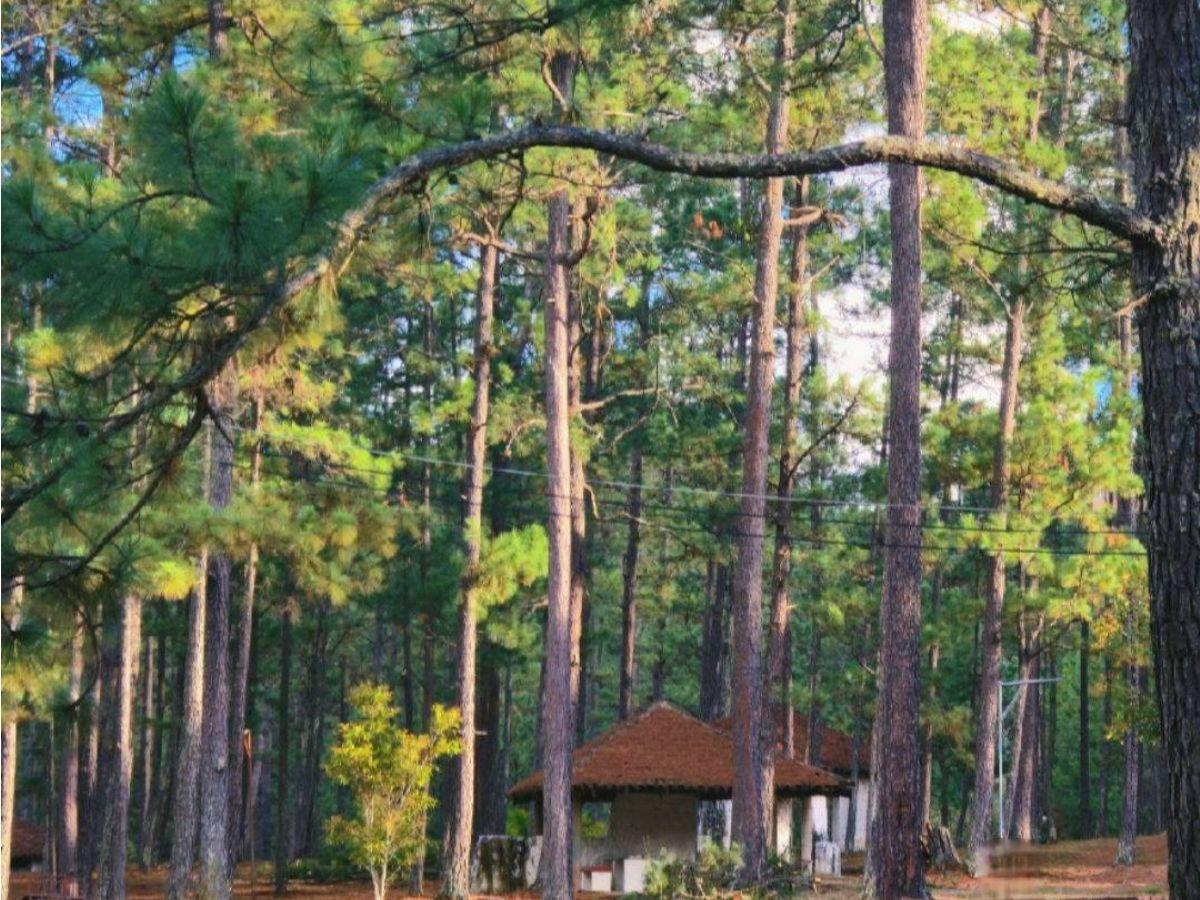 Parque Obrero reabre sus puertas: horarios de atención en Semana Santa