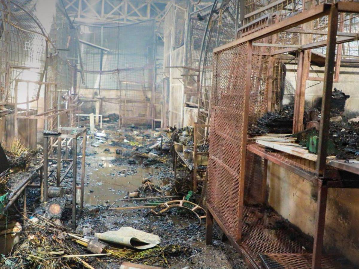 Así lucía el mercado San Miguelito de El Salvador antes de su reconstrucción