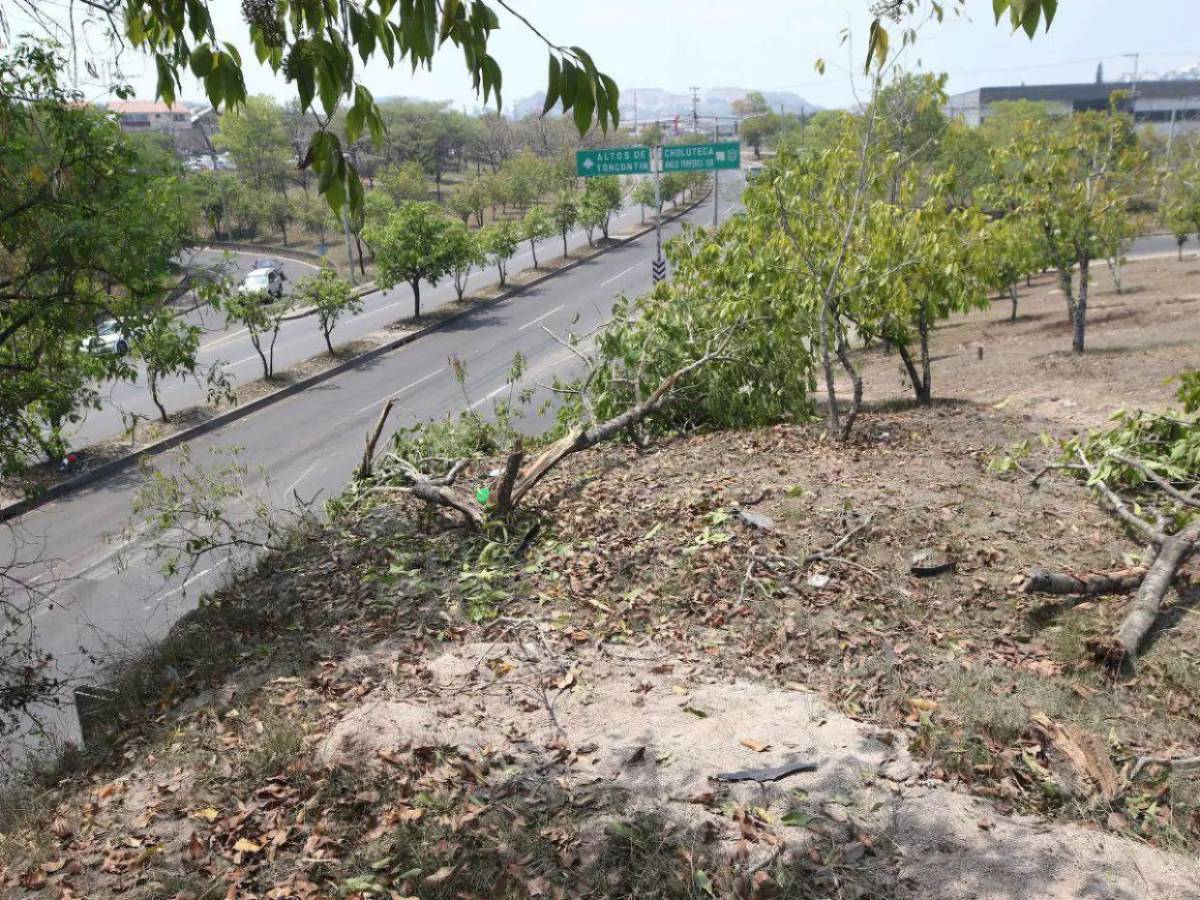 Hipótesis de accidente en Toncontín donde murieron dos menores:  “había bebidas alcoholicas”