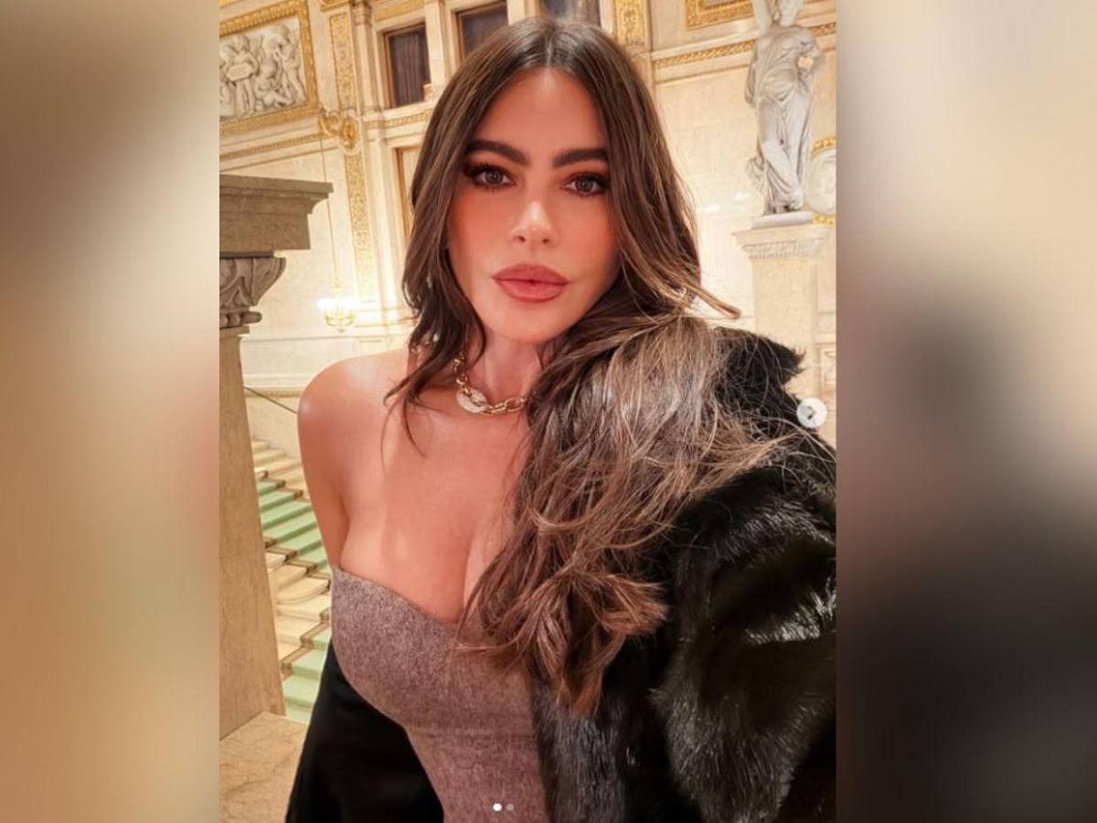 Sofía Vergara enciende las redes  a sus 53 años: Esta es la razón