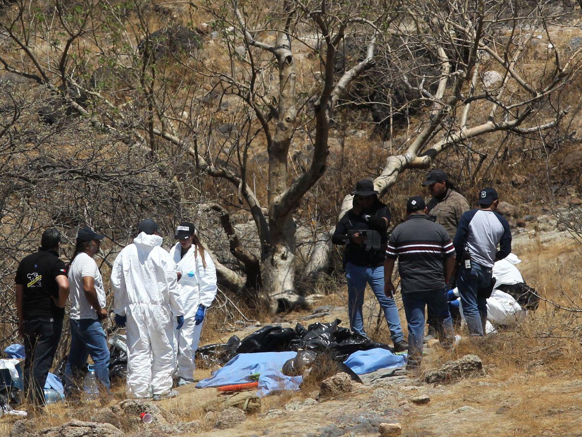Hallan 45 bolsas con restos humanos en oeste de México