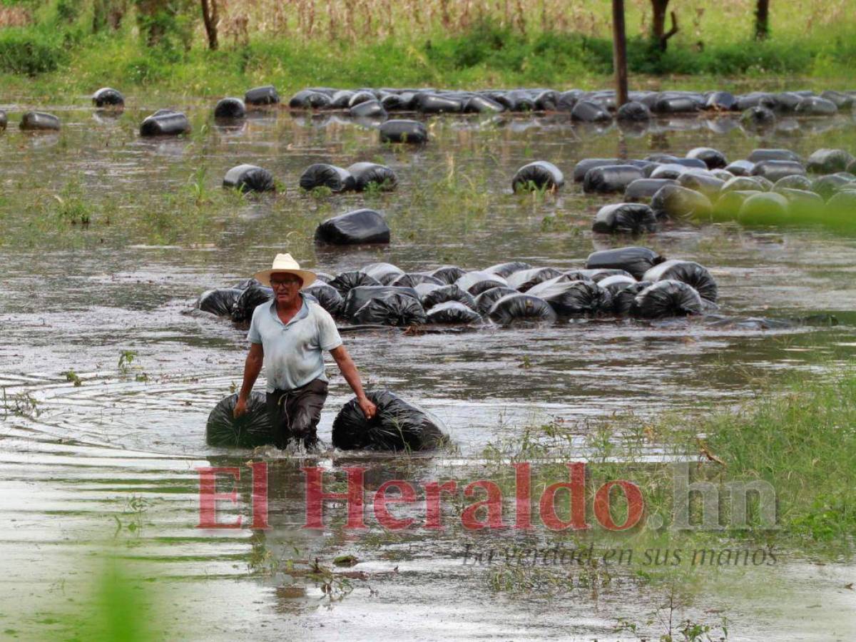 Un voluntario de Salud arriesga su vida al pasar un río en el municipio de Opalaca, Intibucá.