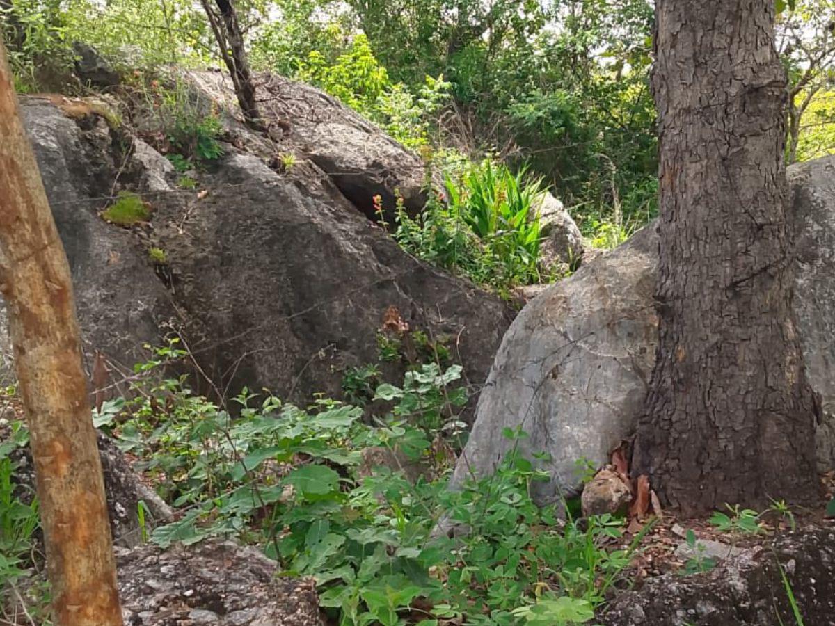 Los detuvieron y luego los hallaron muertos: Cristofer y Walter estaban en estado de putrefacción
