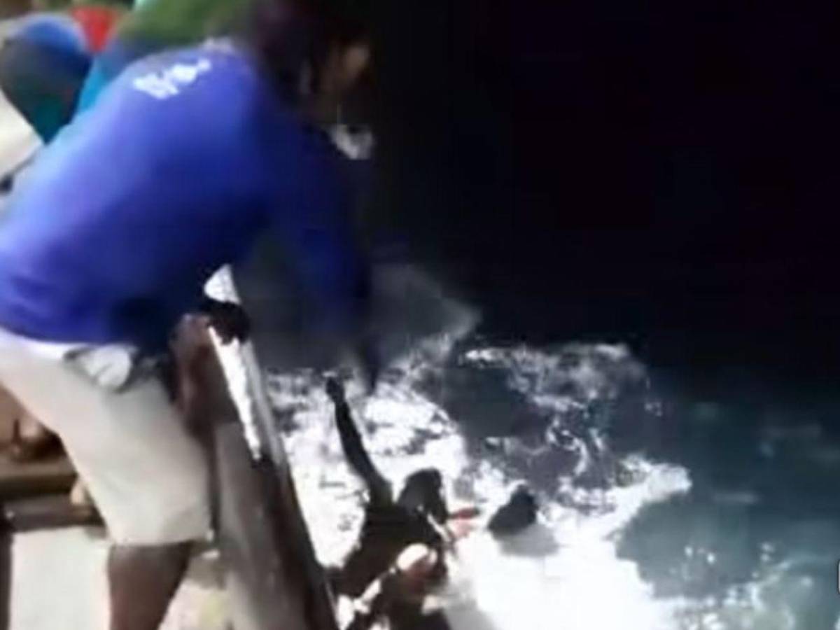 Menor desaparecido tras caída al mar en Gracias a Dios: esto revelan las autoridades